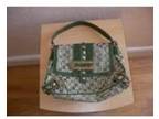 Guess Bag. Stunning Green Guess Bag!! With Grey Leopard....